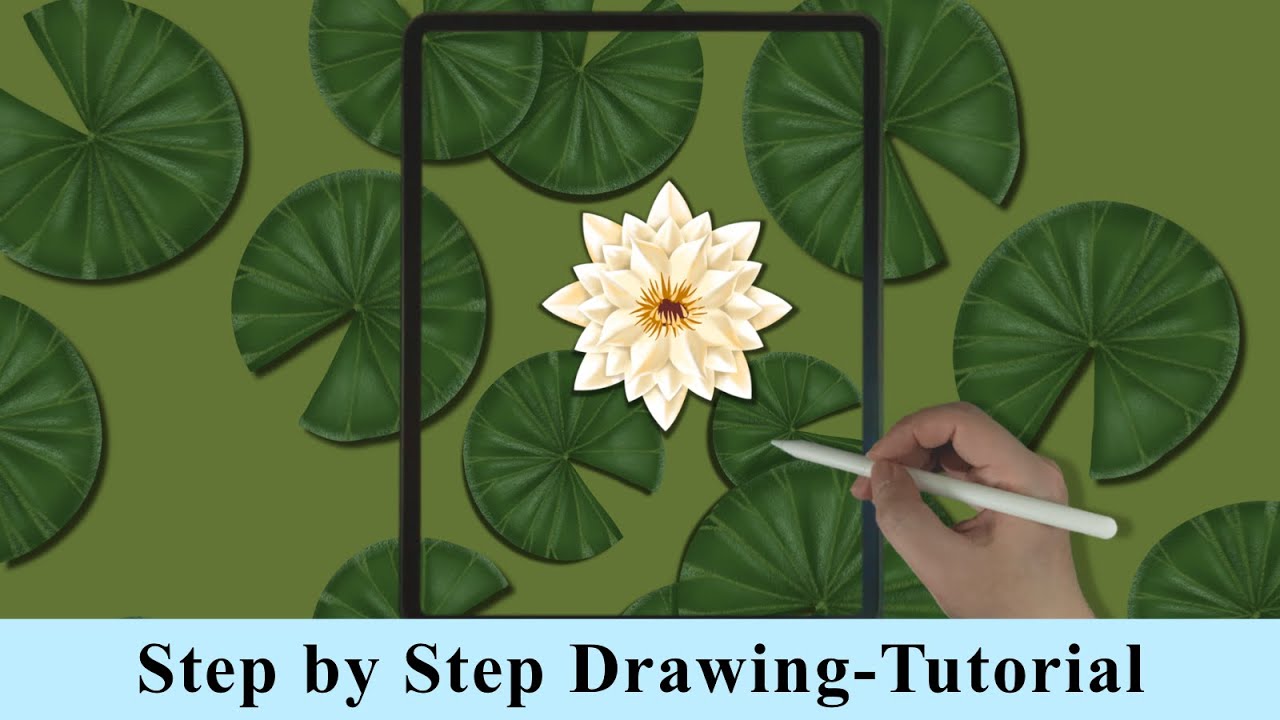 Water Lily Flower iPad Procreate Drawing - Step by Step Drawing Tutorial
