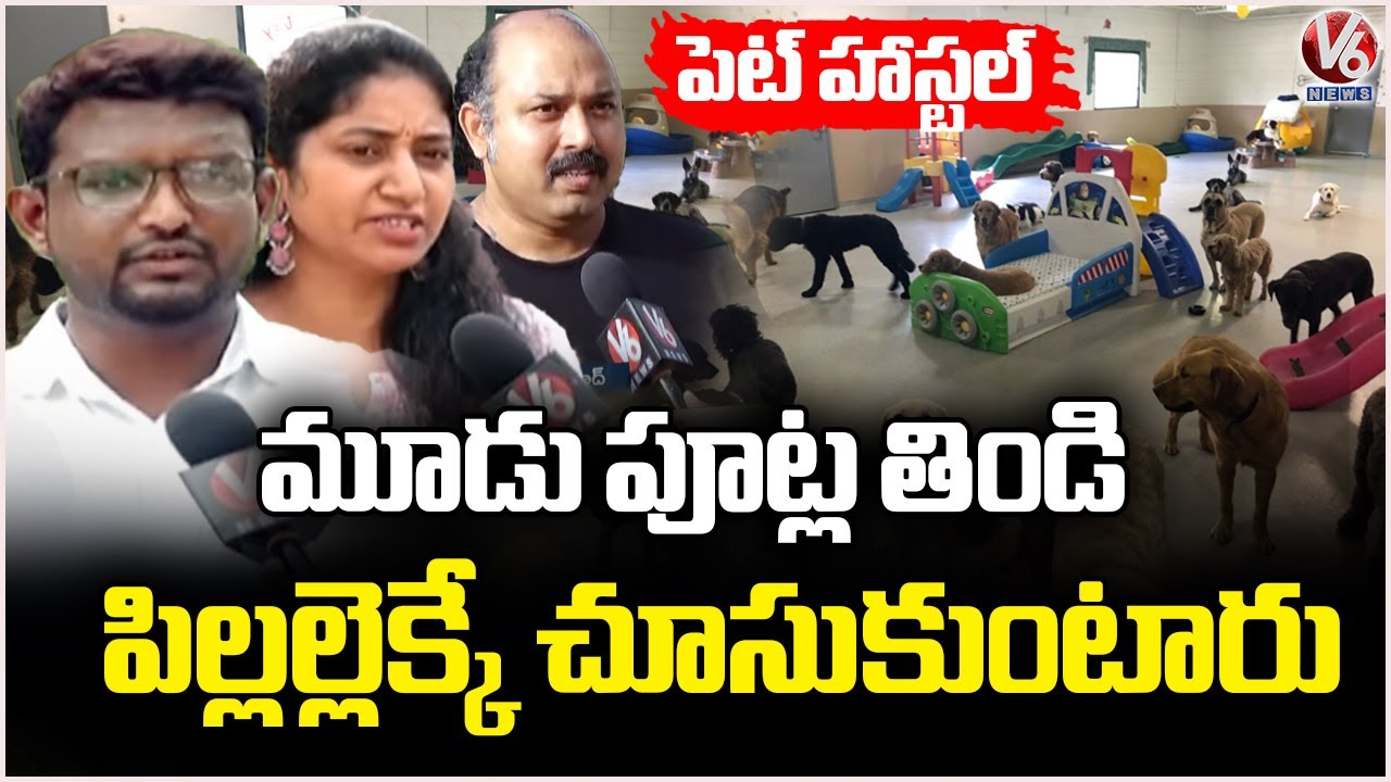 Pet Hostel In Hyderabad | Happy Dogs Boarding & Training School | Ground Report | V6 News
