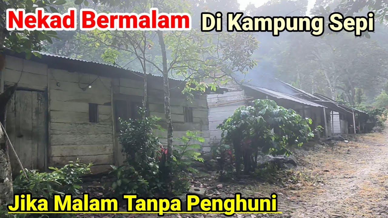 Nekad Menginap di Kampung Sepi Tersembunyi di Gunung Wilis Madiun