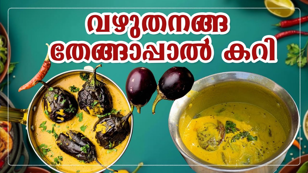 വഴുതന ഇങ്ങിനെ കറി വെച്ചാൽ ബീഫും ചിക്കനും മാറി നിൽക്കും ! | Creamy Brinjal Coconut Milk Curry
