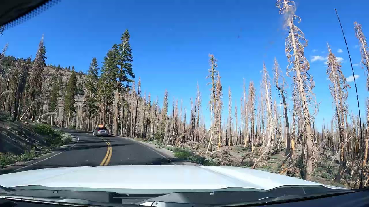 Lassen National Park - Soutwest entrance to South Summit Lake Campground 6/7