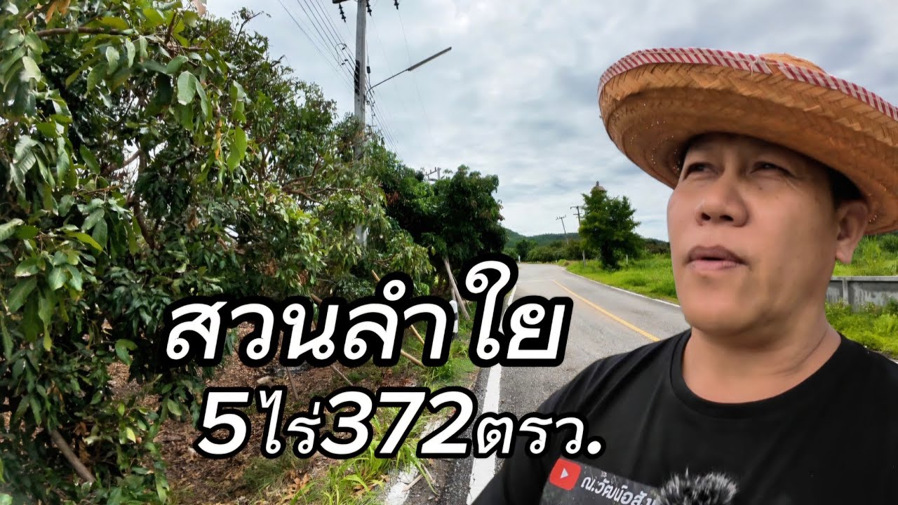 ที่ดินสวนลำใยEP084.ที่ดินติดถนน2ด้านเนื้อที่5ไร่372ตรว.ราคา450,000/ไร่ต.นครเจดีย์/ป่าซาง/ลำพูน