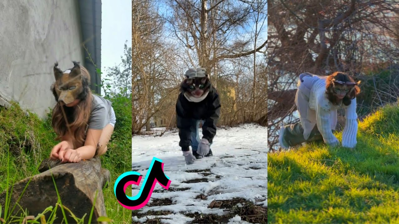 Therian TikTok Compilation #25😻