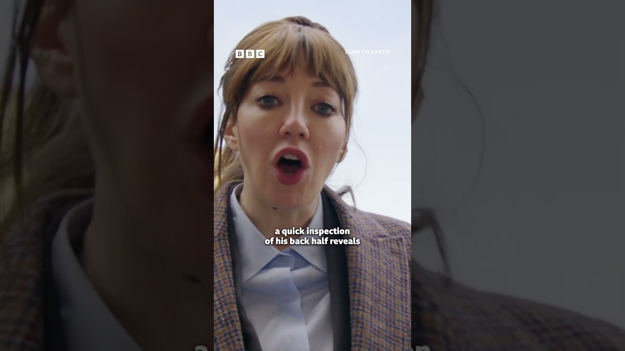 Philomena Cunk critiques Michelangelo's David