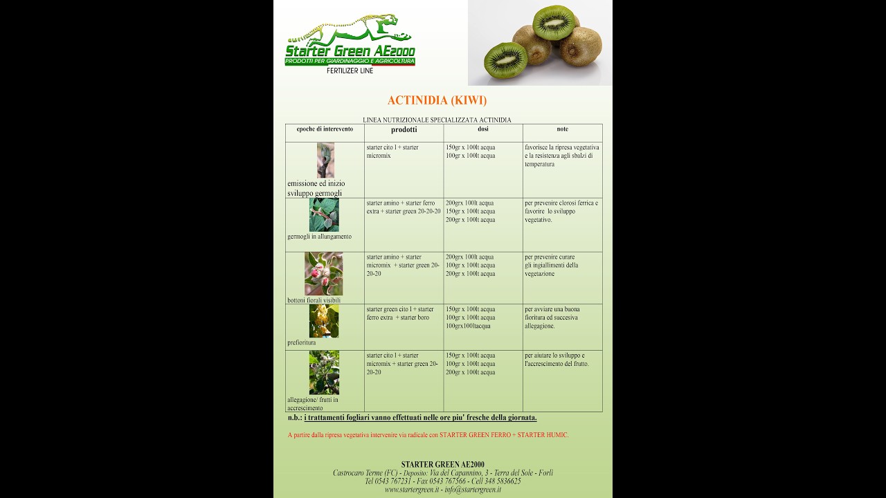 LA COLTIVAZIONE DEL KIWI