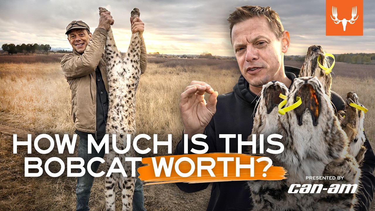 Steve and Seth Get Rich Off Bobcats | With Steven Rinella