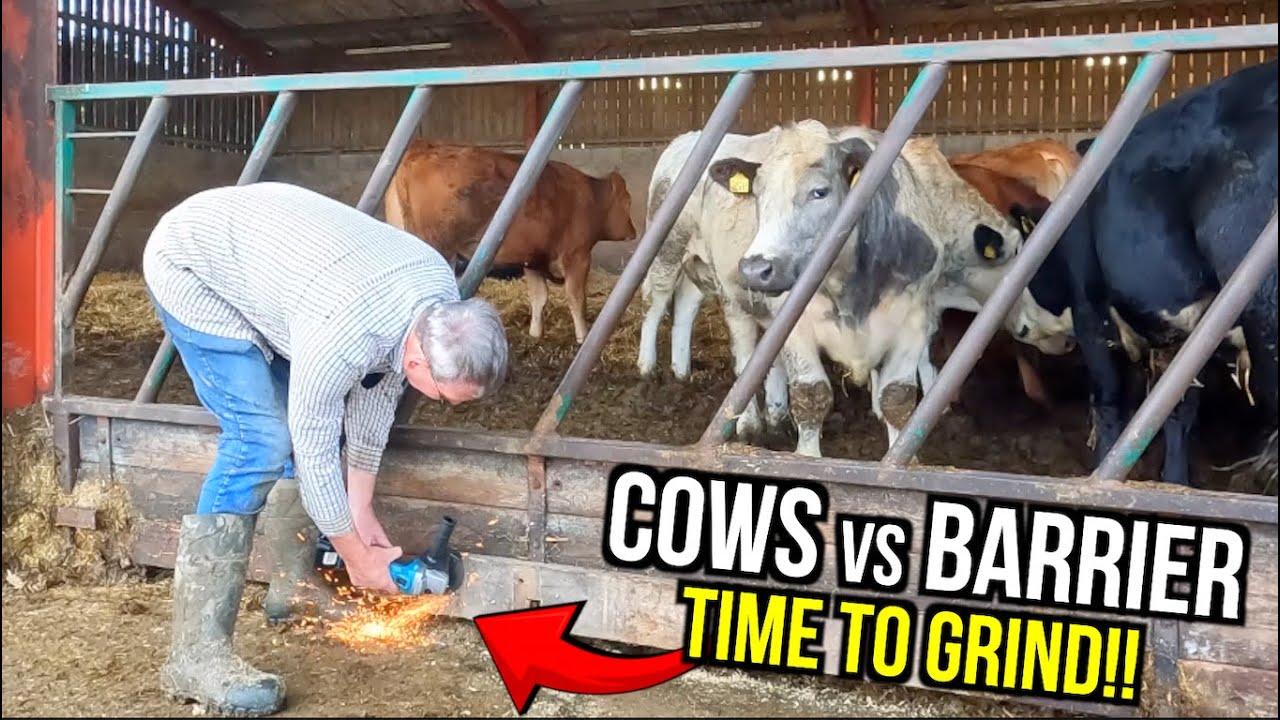 Fixing Cattle Feed Barrier - Preparing For Winter