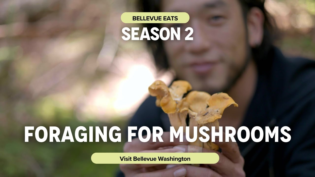 Mushroom Foraging with Chef Shota Nakajima on Bellevue Eats