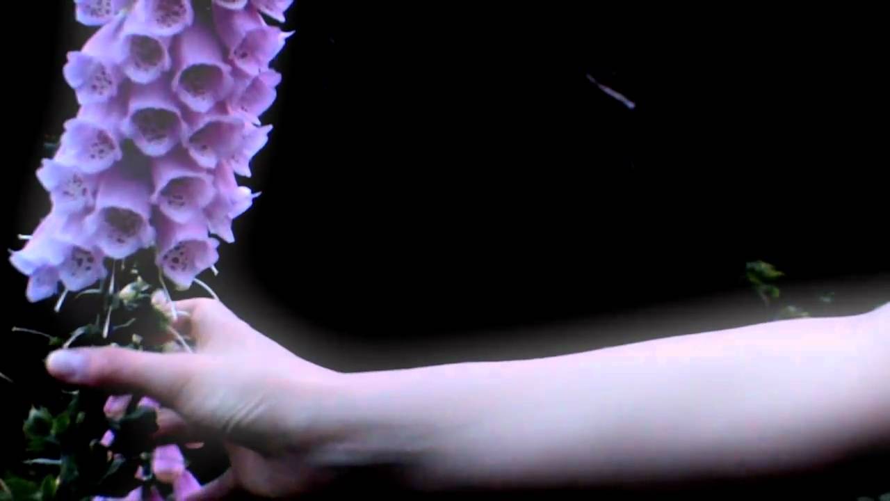 ECOPHOBIA Teaser Trailer