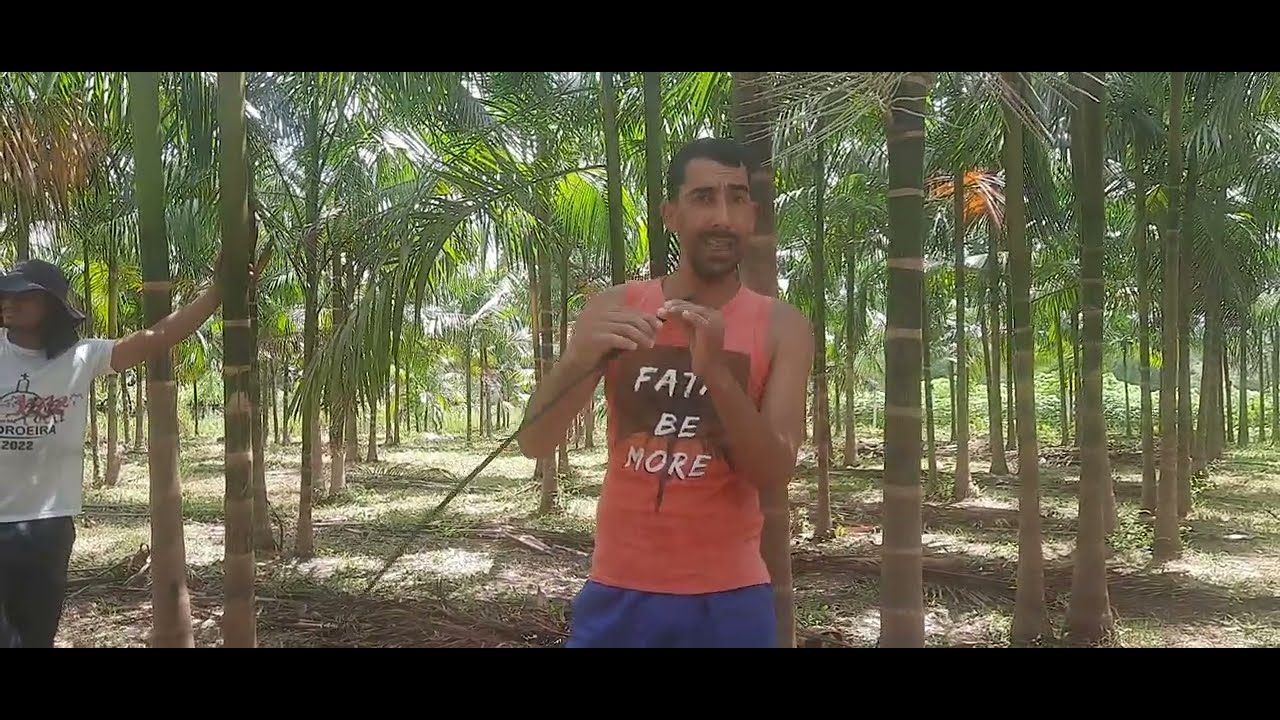 Irrigação Com o Menor Custo e Eficiência No Plantio De Açai !!!
