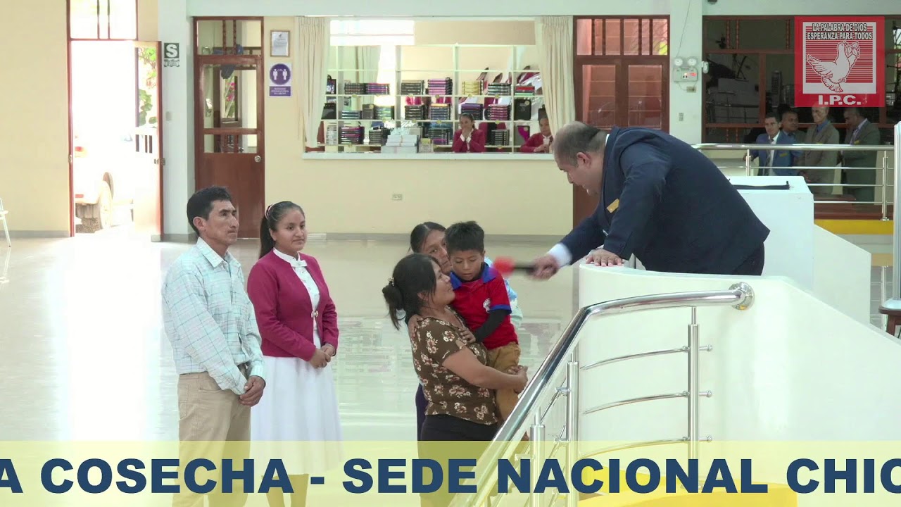 CAMPAÑA IPC DOMINGO 15-02-2026