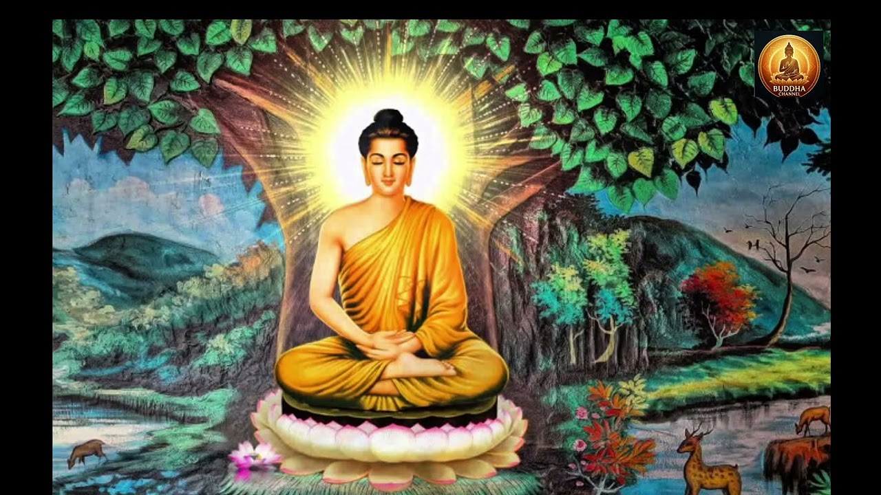 မင်းကွန်းဆရာတော်ဘုရားကြီး၏ မေတ္တာသုတ် (၁၁)ခေါက်