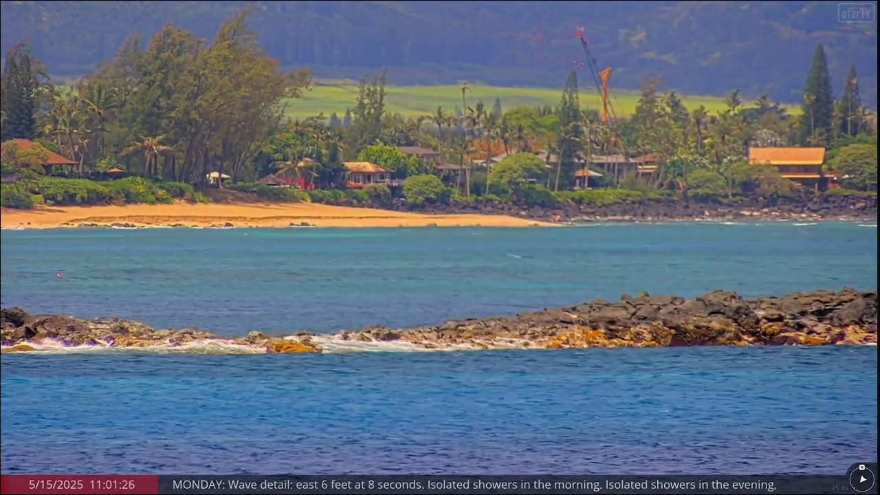 May 15, 2025: Spinner dolphins jumping and spinning, Oahu