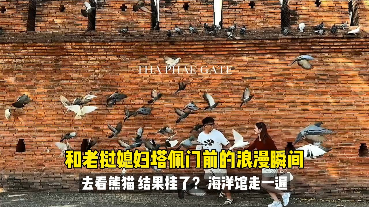 和老挝媳妇在塔佩门前的浪漫瞬间 去看熊猫 结果挂了？东南亚的海洋馆走一遍