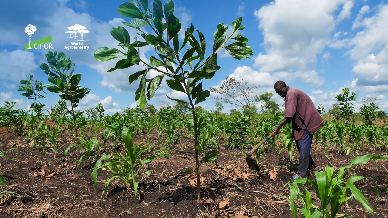 Guidance for a Landscape Approach in Displacement Setting: Experiences from the landscape of Garamba