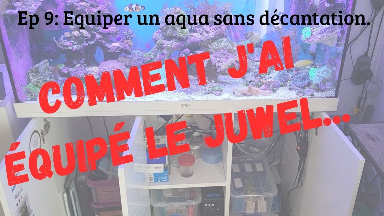 Ep. 9: Comment équiper un aquarium sans décantation pour le récifal!