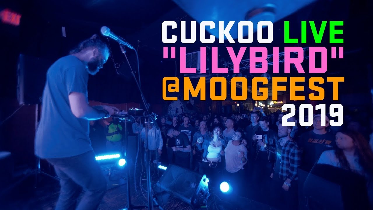 Moogfest Cuckoo Live 