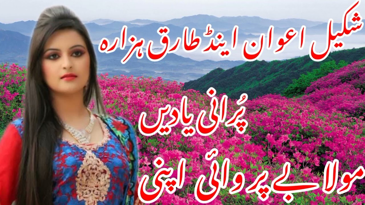 Shakeel_Awan_And_tariq_Hazara_Old_Song🌹|Mola_Be_Parvai_Apni|