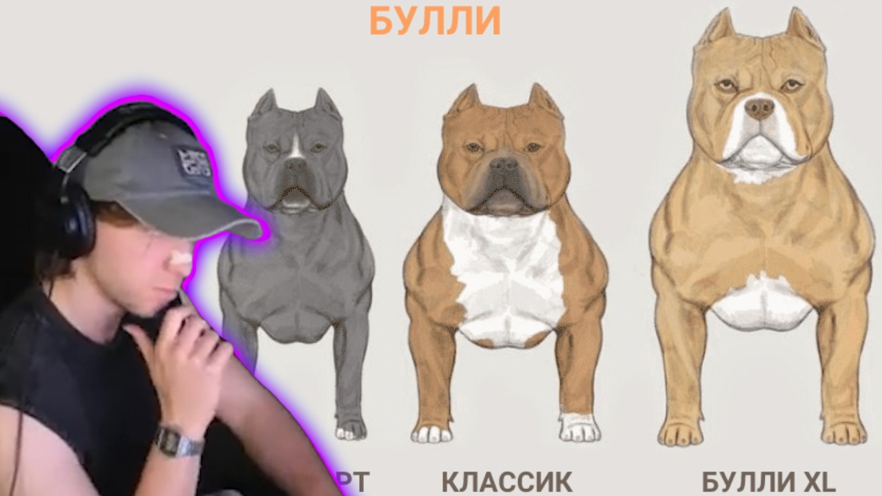 Лейтер выбирает себе СОБАКУ 