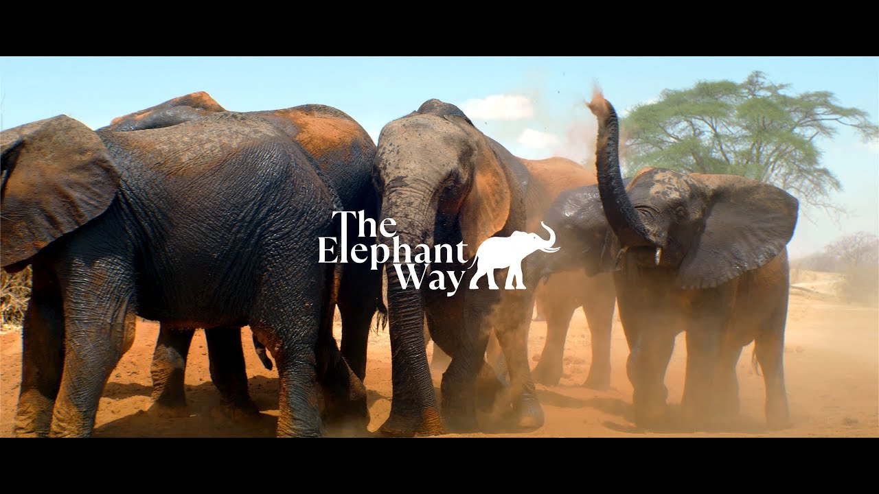 Guardians of the Earth | The Elephant Way
