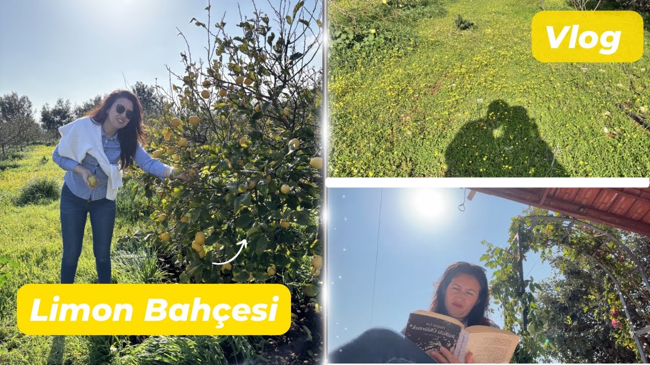 Sarı Limonlar, Güneşli Sayfalar: Bahçede Bir Gün 🍋📖 | Mart Vlog 