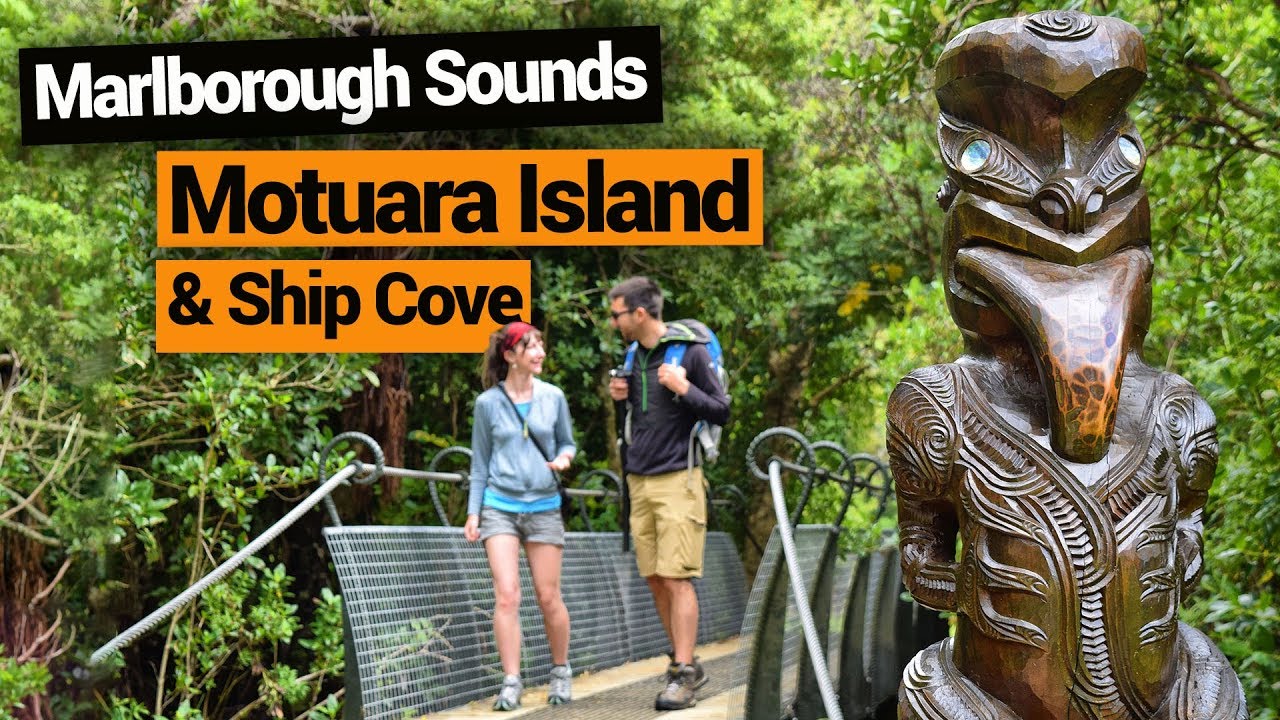 🌊 Marlborough Sounds: Motuara Island Bird Sanctuary & Ship Cove &ndash; New Zealand's Biggest Gap Year