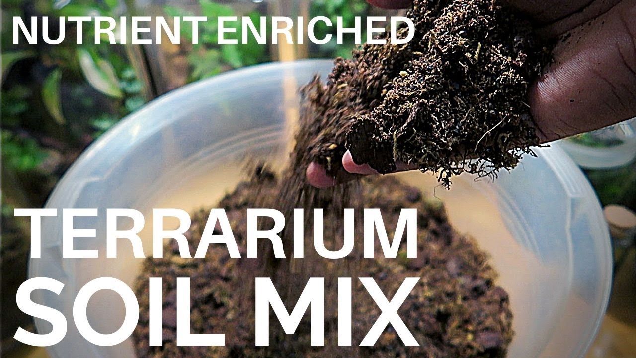 Terrarium soil mix (nutrient enriched)