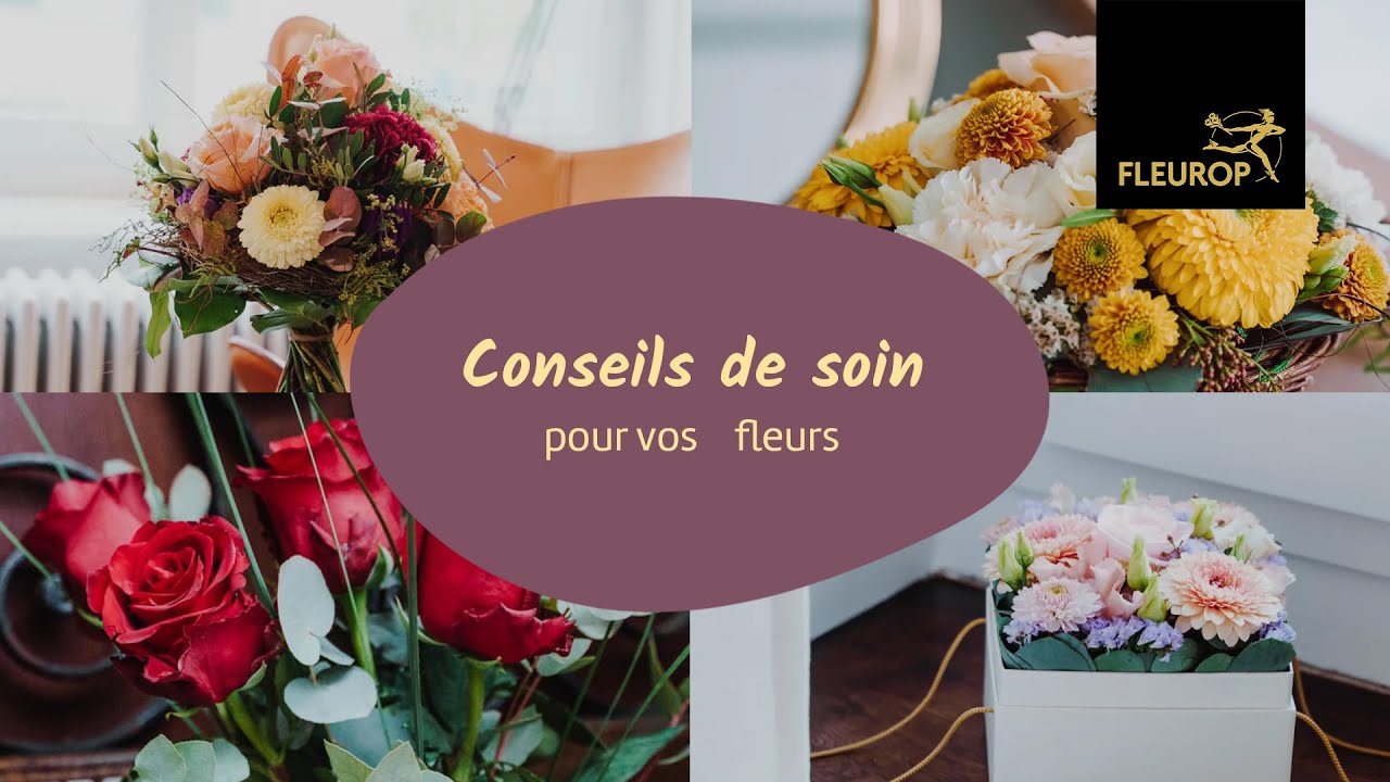 Instructions d'entretien pour bouquets, compositions florales et roses💐