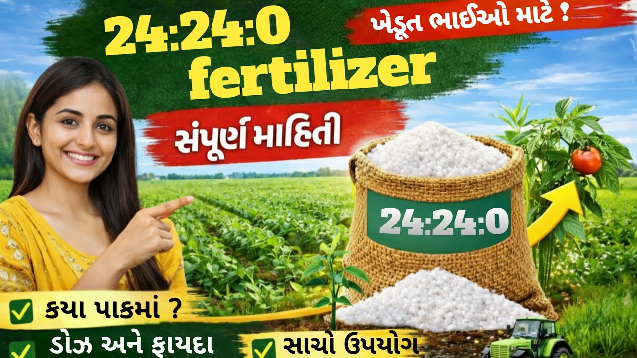 24:24:0 ખાતર આપો અને પાકમાં જબરદસ્ત ગ્રોથ જુઓ | 24:24:0 ખાતર ની સંપૂર્ણ જાણકારી  |