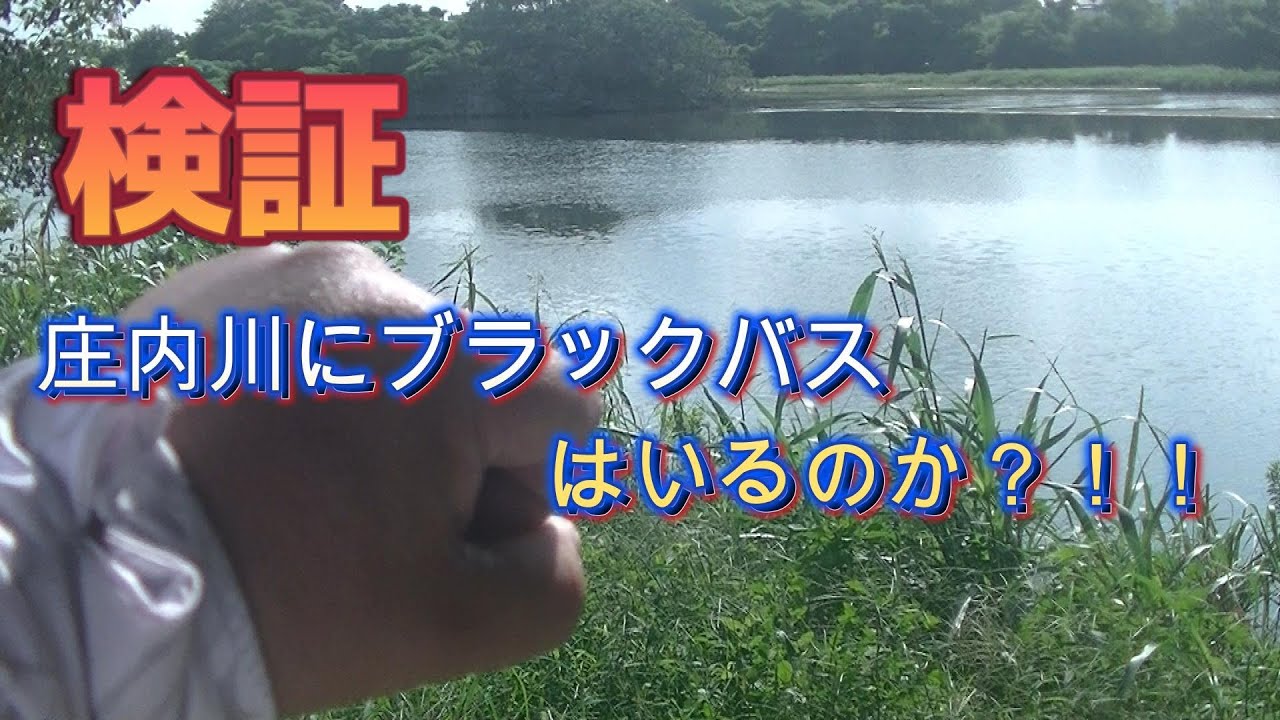 【検証】　庄内川にブラックバスはいるのか？　（名古屋市）