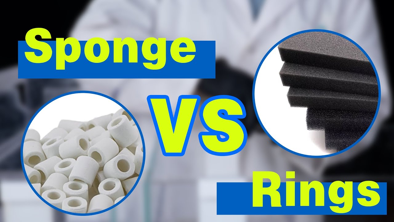 Do You REALLY Need Dedicated Bio-filtration Media? | YuZha Lab