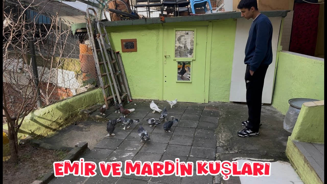 EMİR EN BEĞENDİĞİ MARDİN KUŞARI BAHÇEYE ÇIKARDI ( BAHÇE KALİTE KOKUYOR )