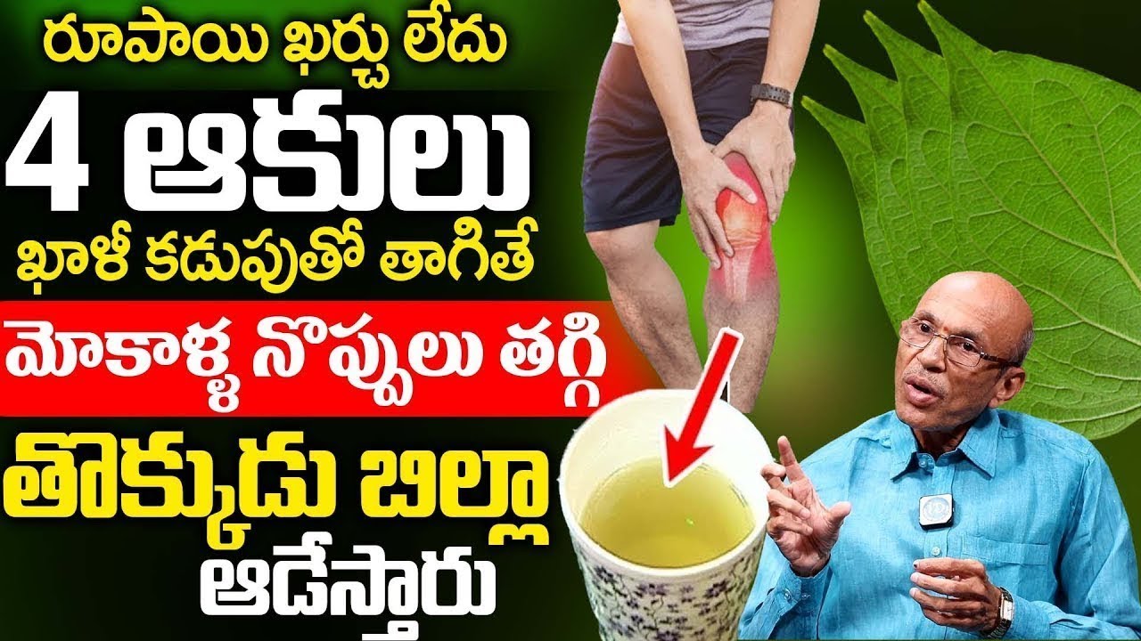 రోజు 4 ఆకులు తింటే మోకాళ్ళ నొప్పులు తగ్గి తొక్కుడు బిళ్ళ ఆడేస్తారు | Relief KneePain | Dr Madhusudan