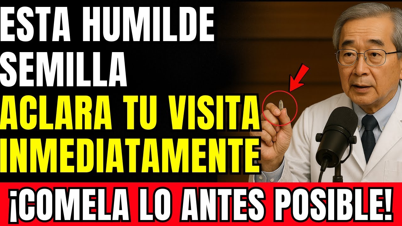 Medico Japones: Come 3 semillas para PROTEGER TUS OJOS Y RETINA de Forma Natural