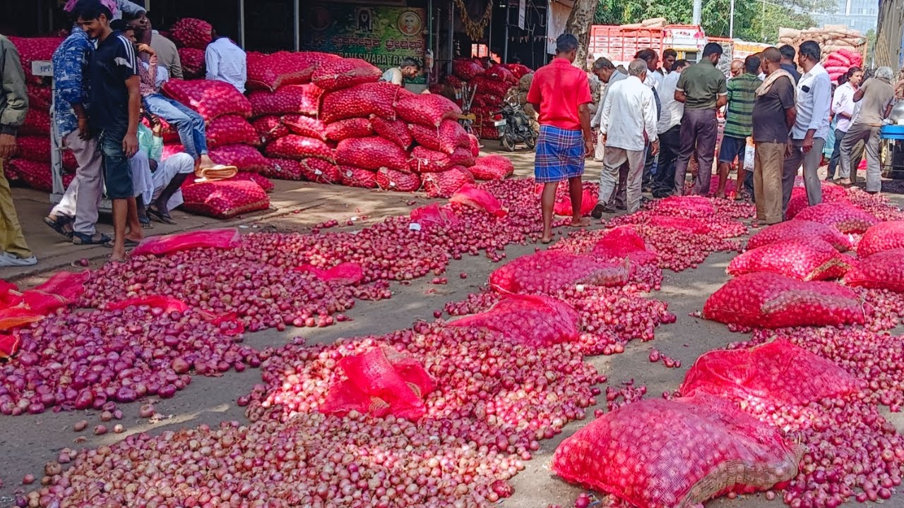 24/02/2025 Today Bengaluru Yashwantpur onion market onion rate today 