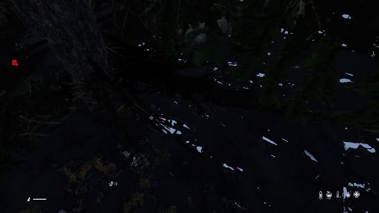 DayZ