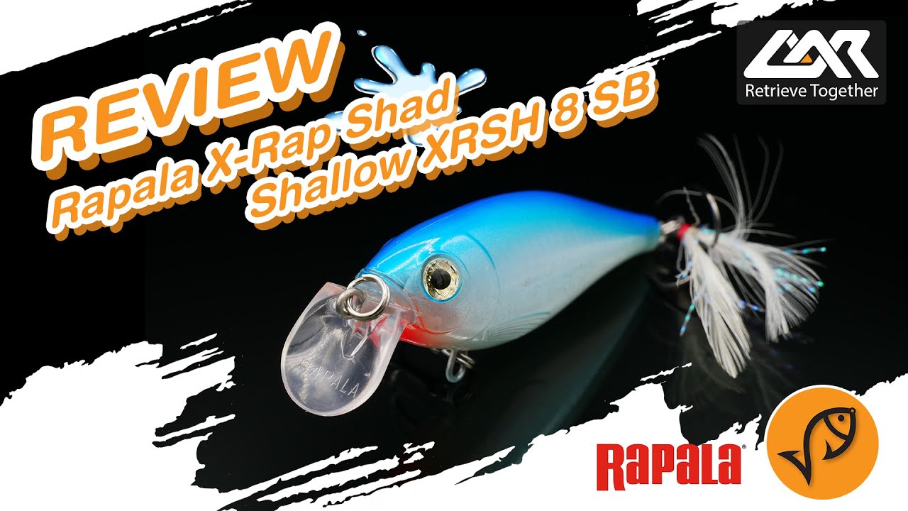 Rapala X-Rap Shad Shallow  ][  Lure Action Review Channel