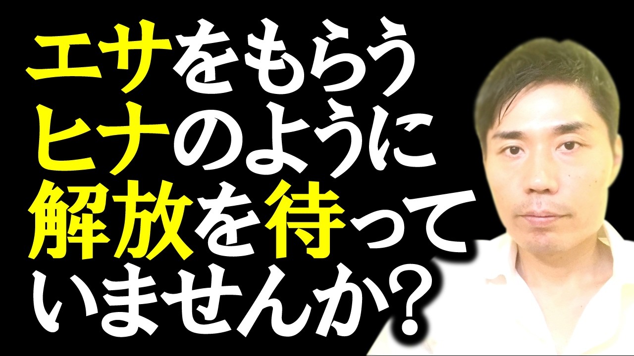 エサをもらうヒナのように解放を待っていませんか？【非二元・ノンデュアリティ】