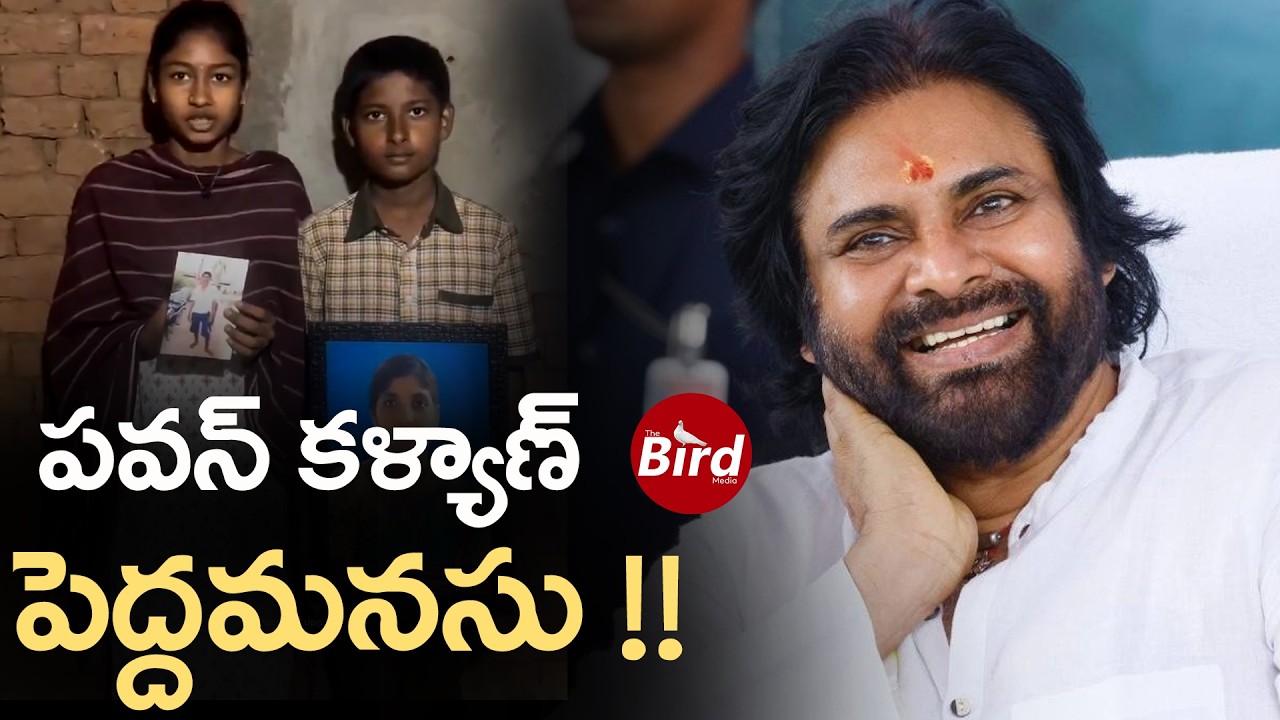 పవన్ కళ్యాణ్ పెద్దమనసు !! | Pawan Kalyan Reaction On Pithapuram Kids Video | Bird Media |