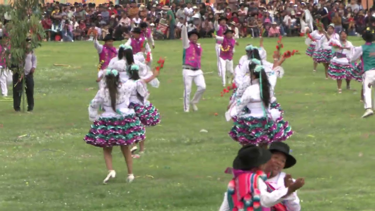 COMPARSA JUVENTUD ALEGRES DE TICACO EN EL CONCURSO DE CALANA 2026