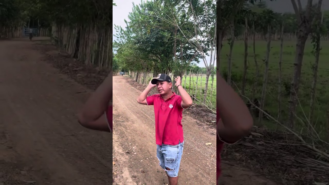 El negocio que más da dinero 💴