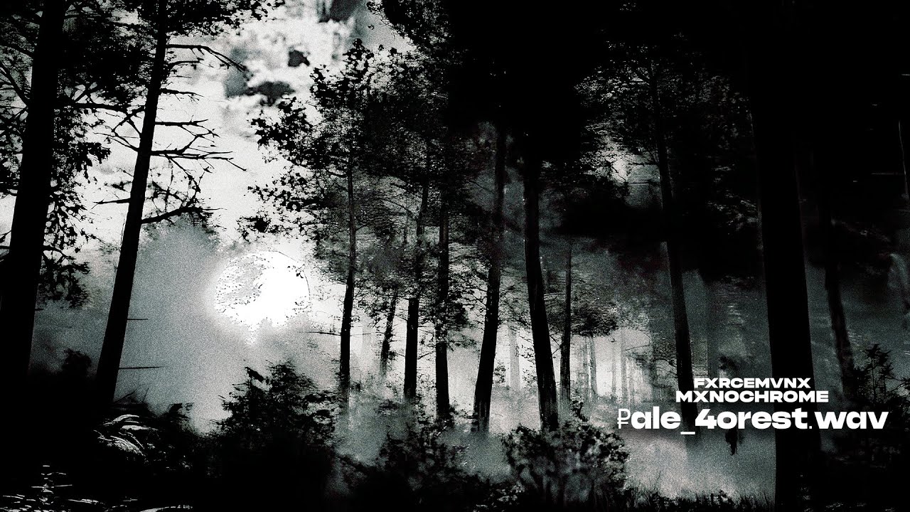FXRCEMVNX, MXNOCHROME - ₽ale_4orest.wav (Visualization) #jumpstyle #forest  #boosted #hard