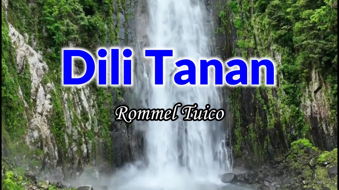 Dili Tanan | Rommel Tuico | Bisaya Song | ( BisRock) | Karaoke Version