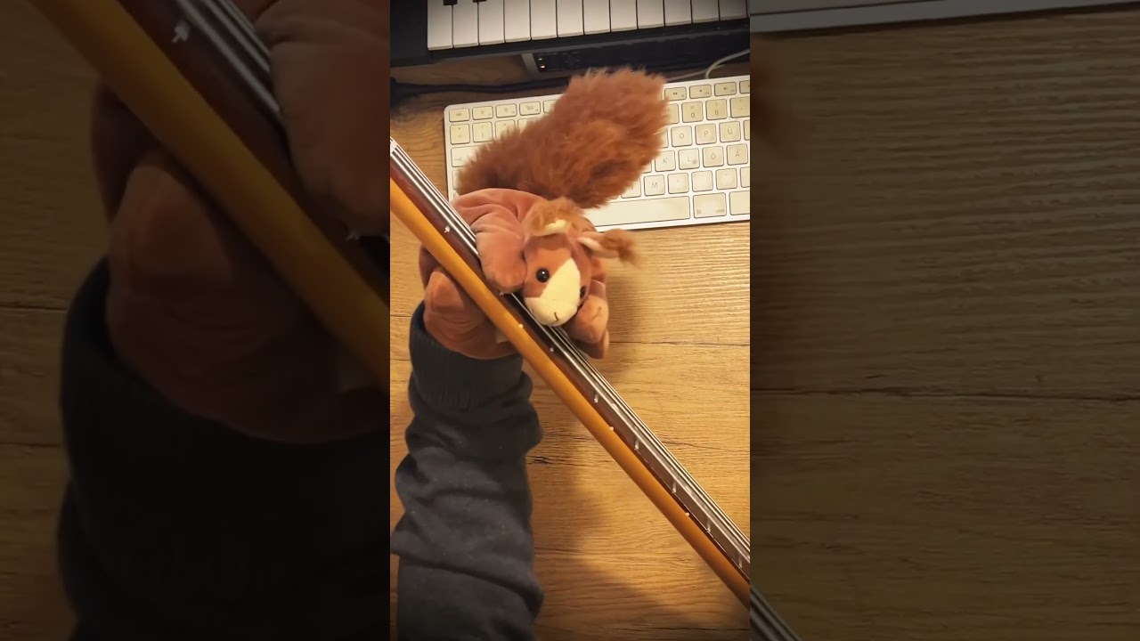 #basssquirrel