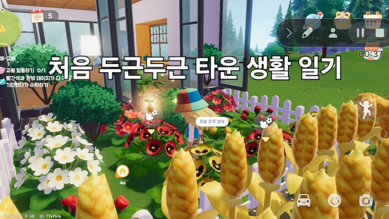 초보자 두근두근타운 생활