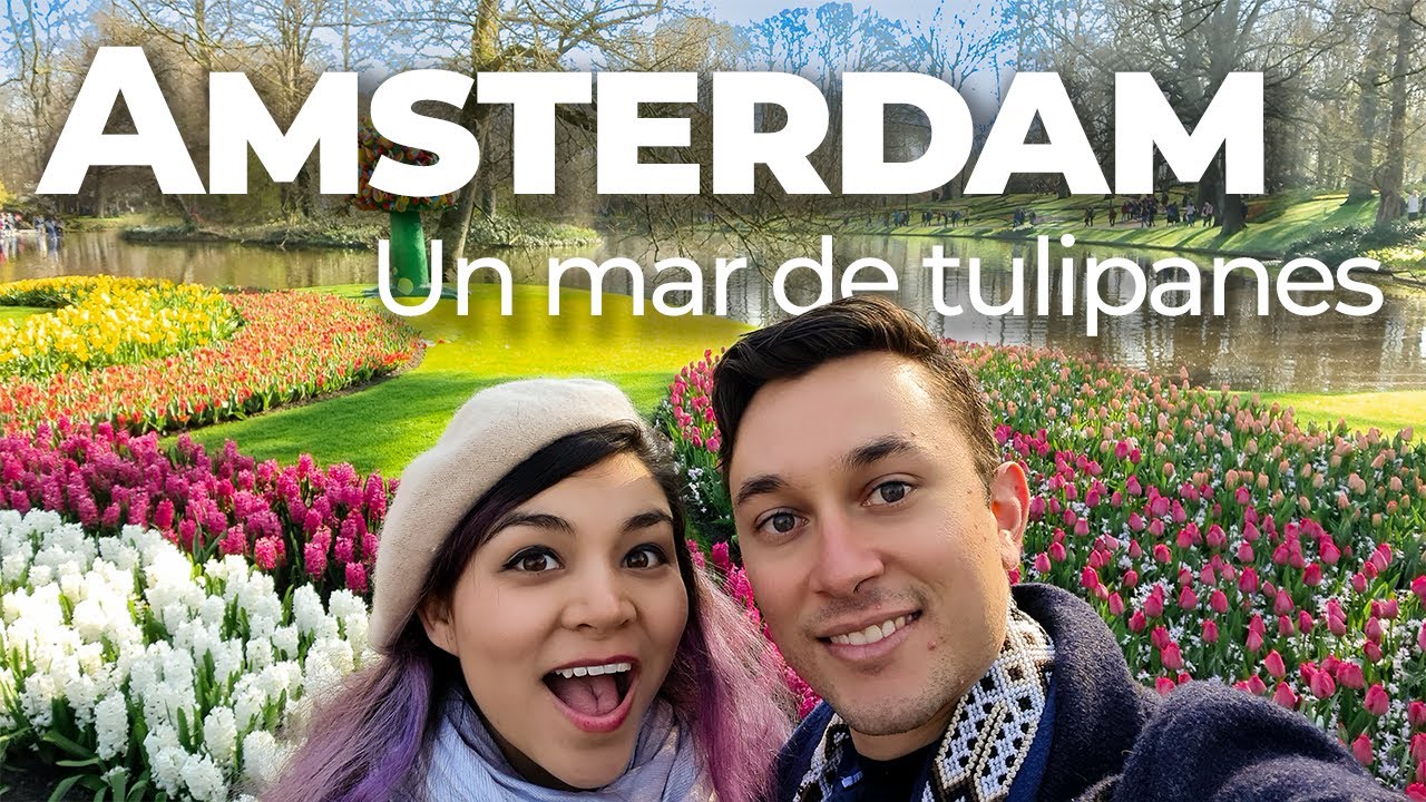 🌷 Dónde ver Tulipanes 🌷 en Holanda 🇳🇱 | Keukenhof | Love Adventures ♥️