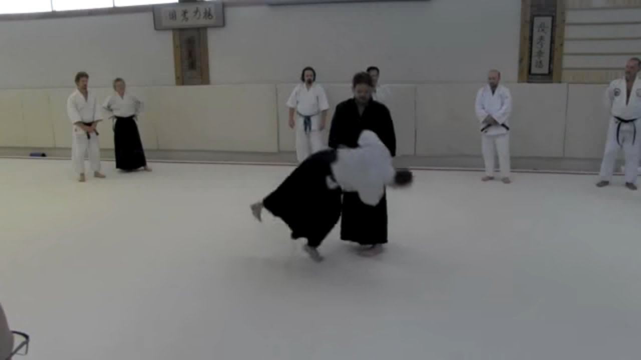 Daito Ryu with Eric Pearson: Lesson 2 - Exploring Te Kagami