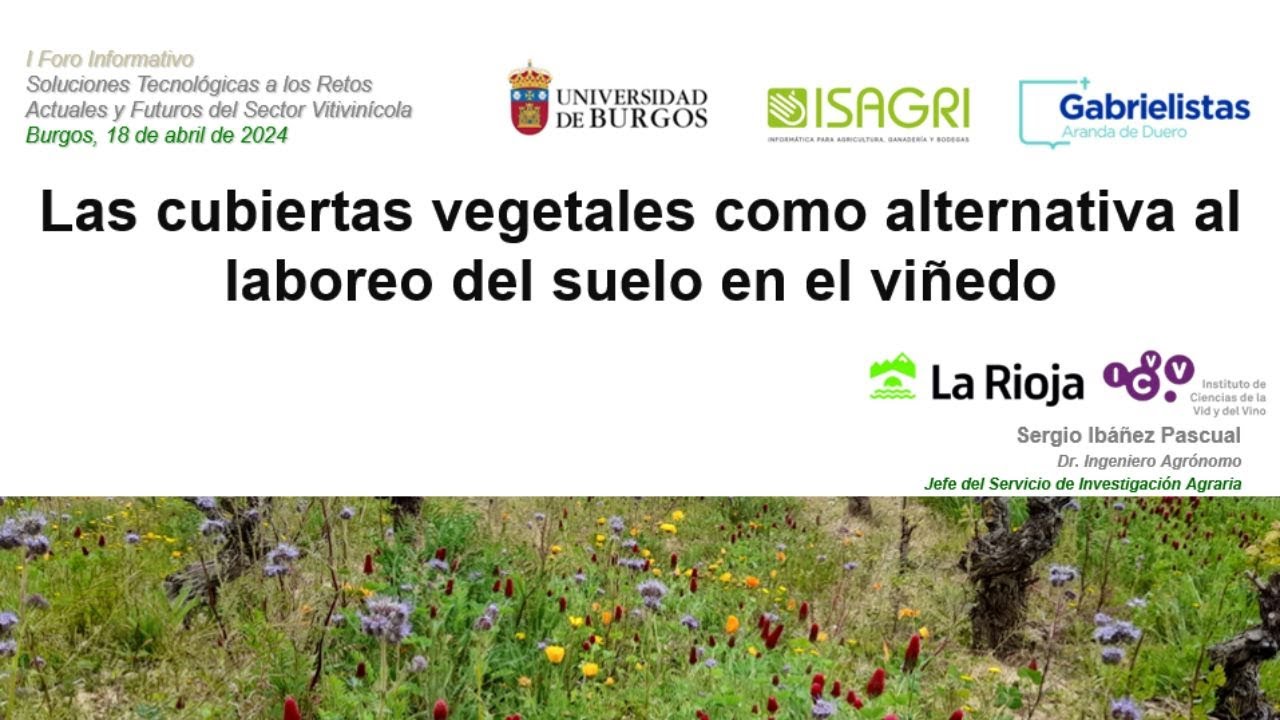 Cubiertas vegetales como alternativa al laboreo del suelo en viñedo