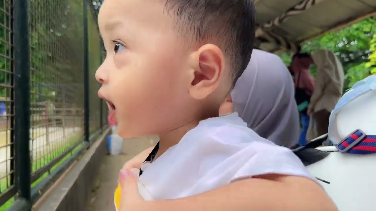 RAGUNAN ZOO TERBARU 2026