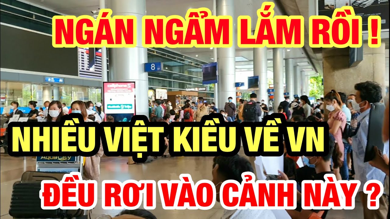 Я ТАК УСТАЛА ОТ ЭТОГО! МНОГИЕ ВЬЕТНАМЦЫ, ВОЗВРАЩАЮЩИЕСЯ ВО ВЬЕТНАМ ИЗ-ЗА РУБЕЖА, СТОЛКНУЛИСЬ С ЭТ...